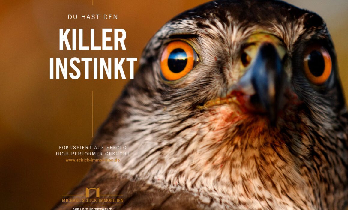 Schick Immobilien: Recruiting-Kampagne