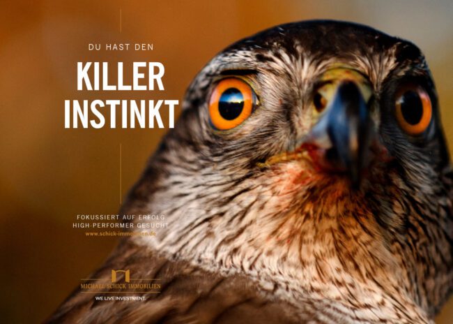 Schick Immobilien: Recruiting-Kampagne